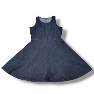 Gap Dress Size 6 Gap Denim Dress Gap Fit And Flare Dress Sleeveless A-line Dress